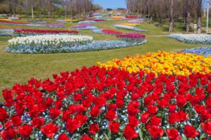 akashi_kaikyopark