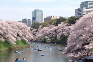 chidorigafuchi