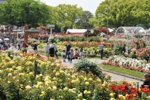 fukuyama_barapark