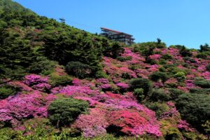 unzen_nitatouge_s
