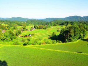 shimane_tatara2