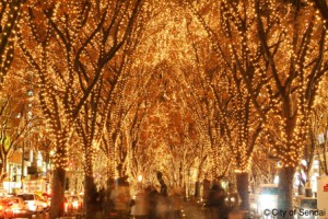 ケヤキ並木が光のトンネルに／写真提供：仙台市観光交流課