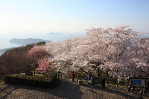 shiudeyama